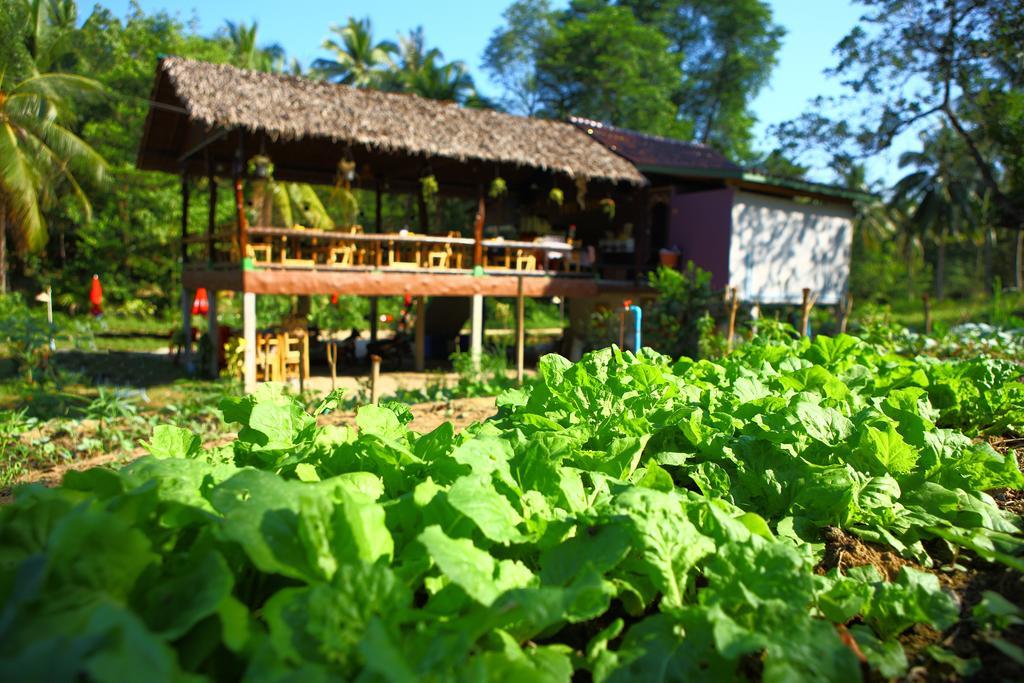 Hotel Phayam Garden View Koh Phayam Exterior foto